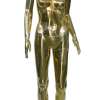 SHLNF H05(GOLD)